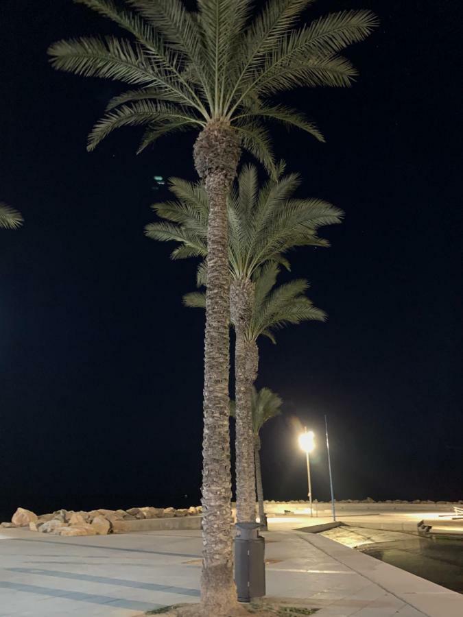 Sunshine Apartment Torrevieja Eksteriør bilde