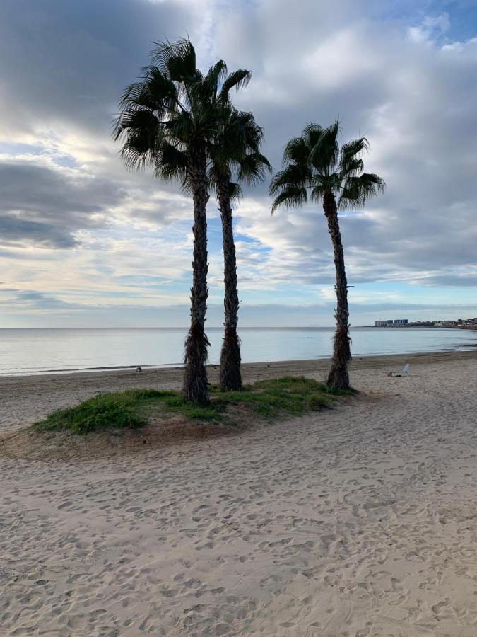 Sunshine Apartment Torrevieja Eksteriør bilde